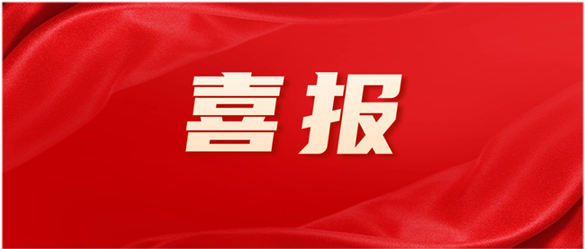 VR彩票王秀忠獲評“2023年度東莞市杰出首席質量官”！