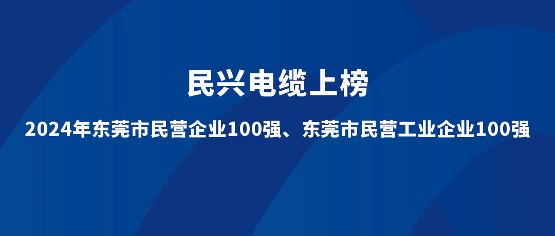 VR彩票位列第15位！2024年東莞市民營工業企業100強榜單發布